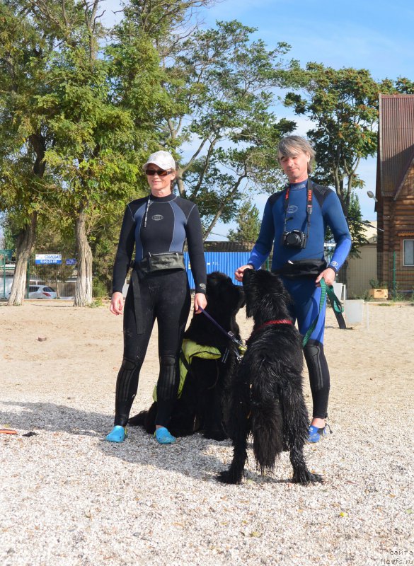 Фотография № 193520