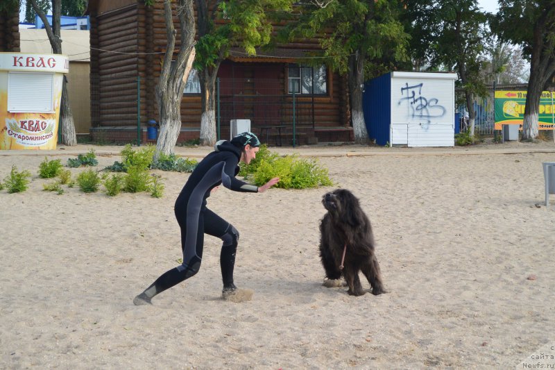 Фотография № 193523