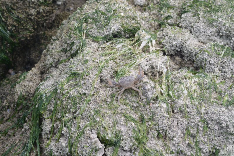 Фотография № 193527