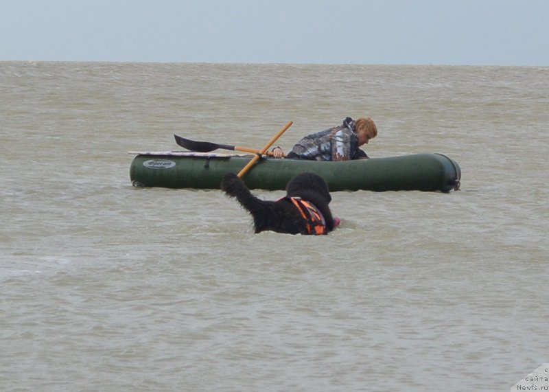 Фотография № 193538