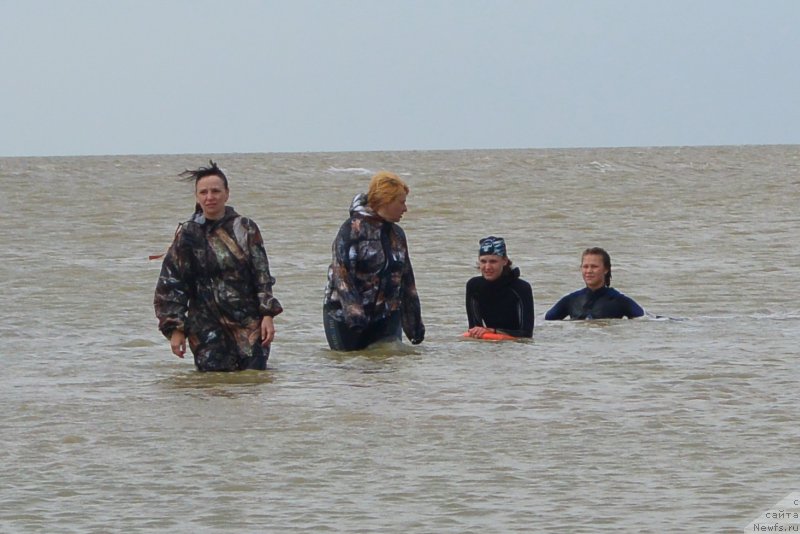 Фотография № 193540