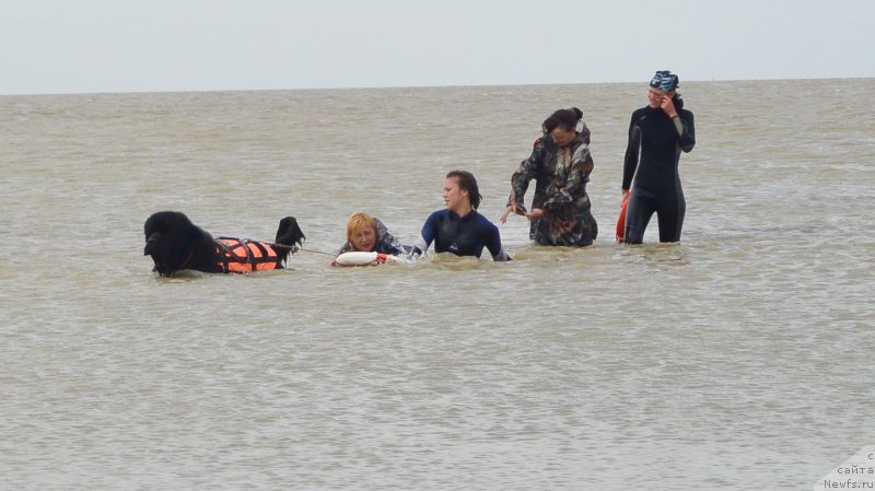 Фотография № 193544