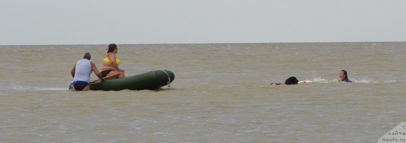 Фотография № 193548