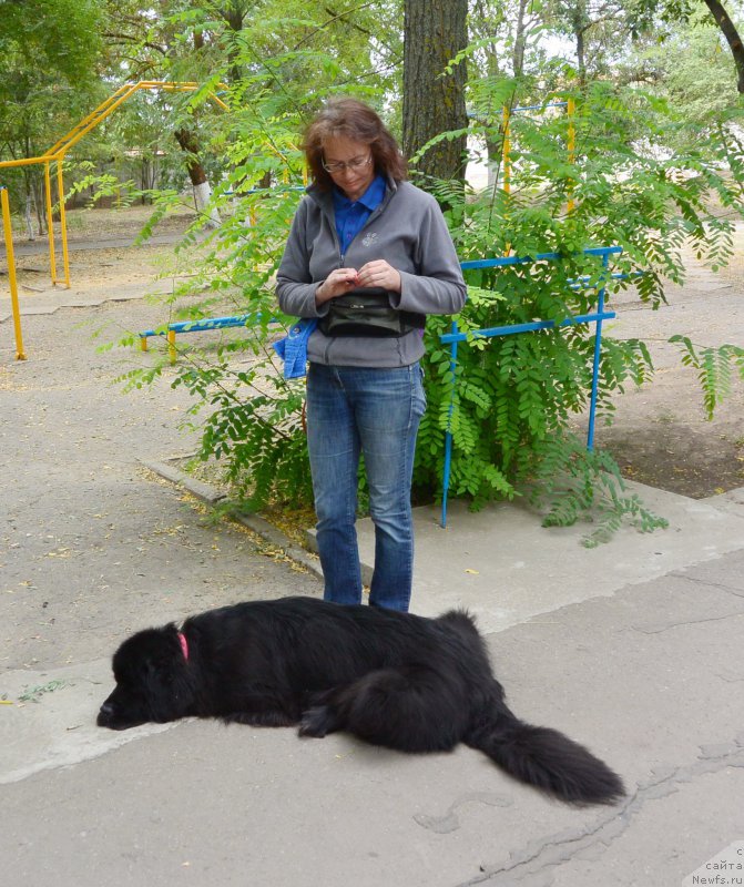 Фотография № 193554