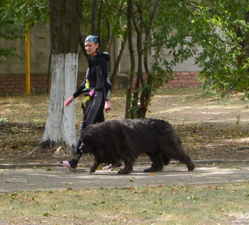 Фотография № 193557