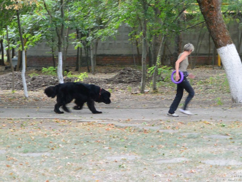 Фотография № 193566