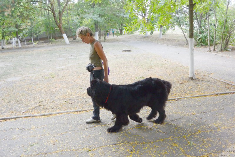 Фотография № 193569