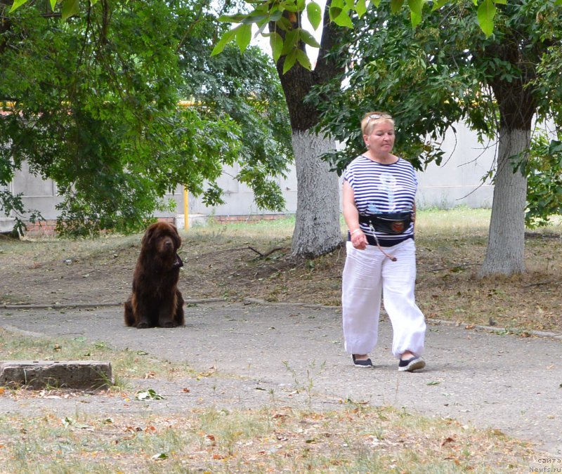 Фотография № 193579