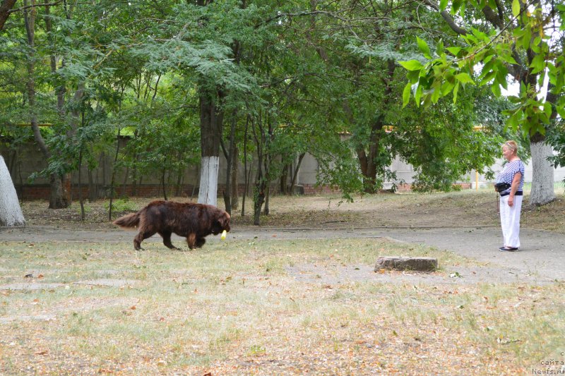 Фотография № 193584