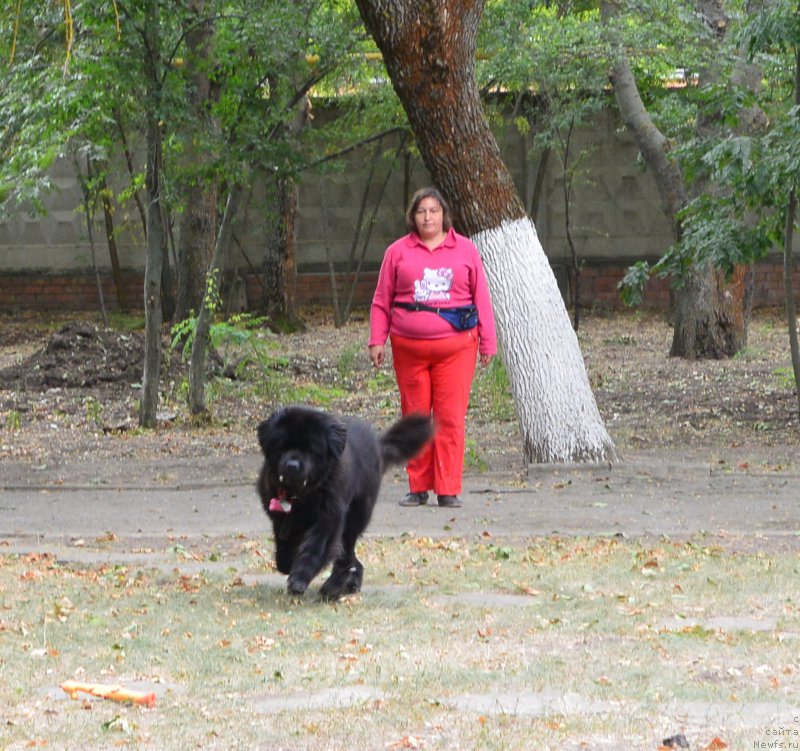 Фотография № 193594