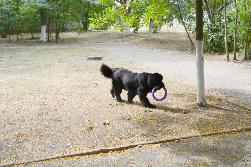 Фотография № 193611