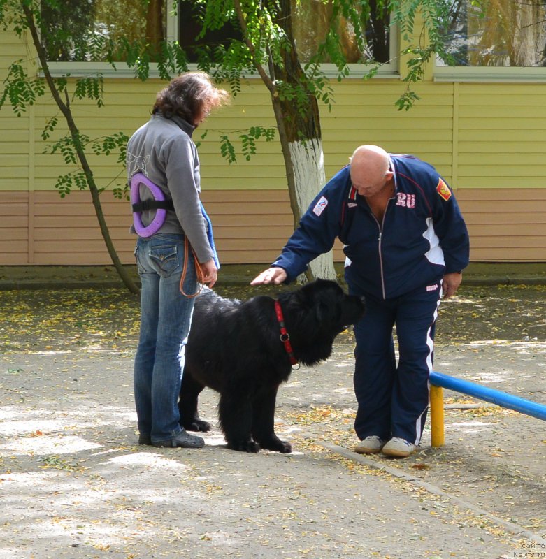 Фотография № 193613