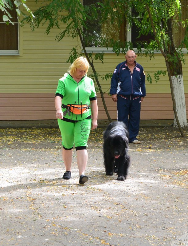 Фотография № 193619