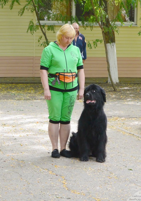 Фотография № 193620