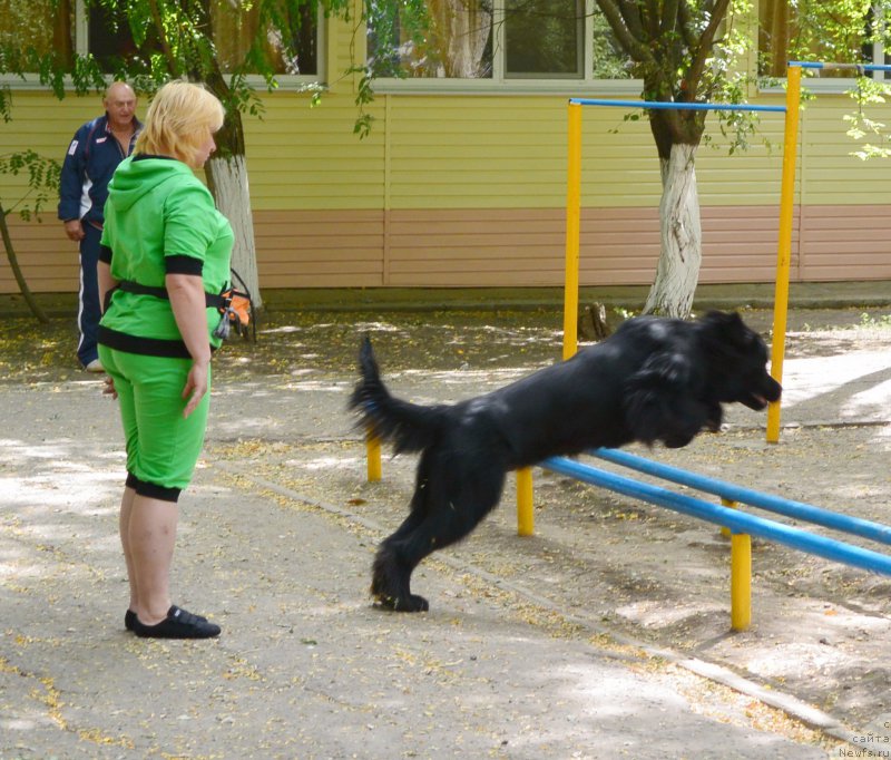 Фотография № 193621