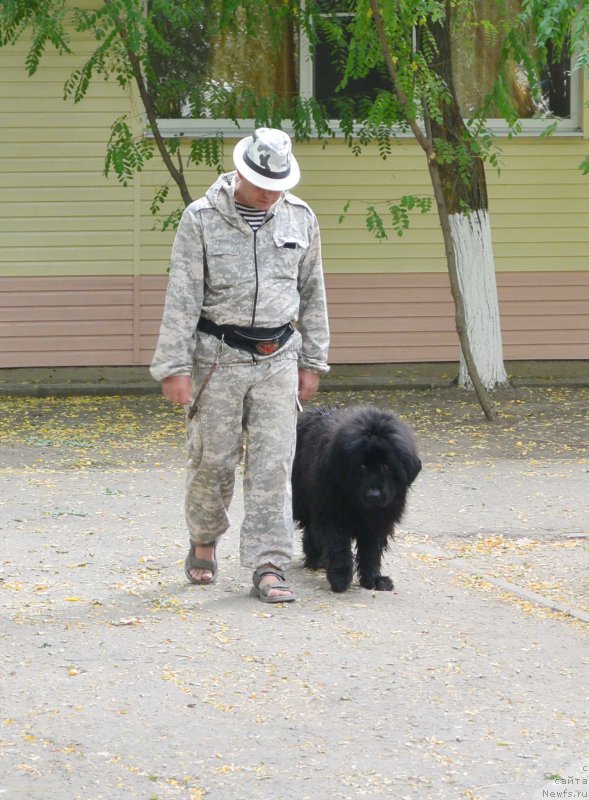 Фотография № 193629