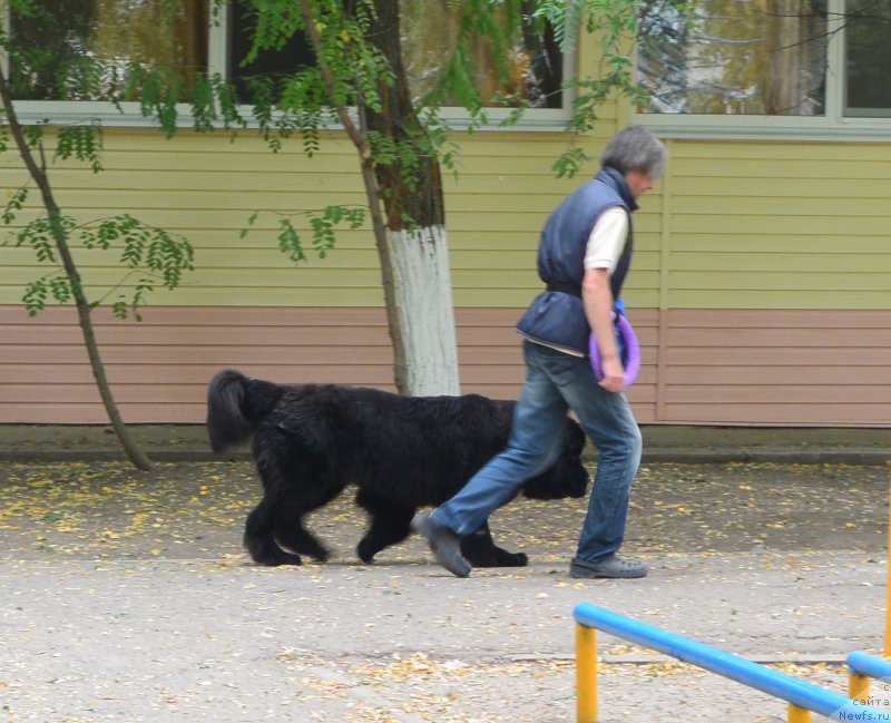 Фотография № 193639