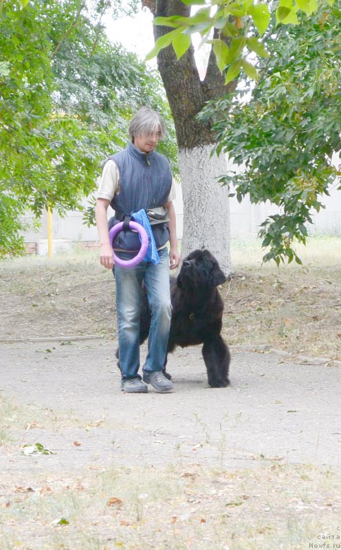 Фотография № 193641