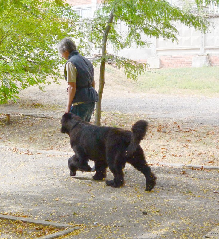 Фотография № 193645