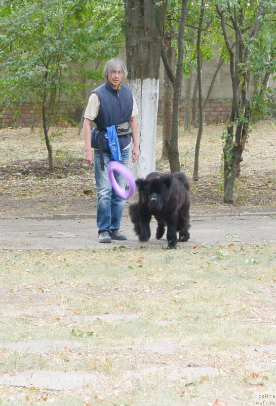 Фотография № 193646