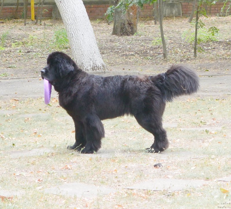 Фотография № 193647