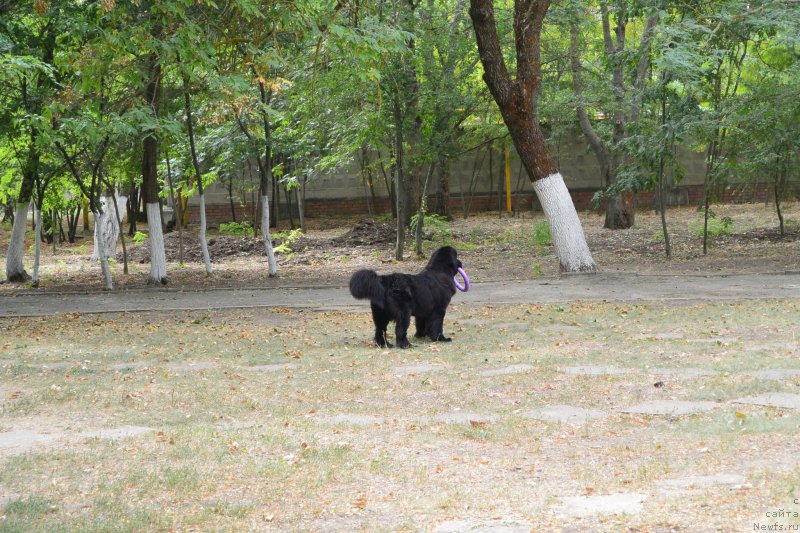 Фотография № 193648