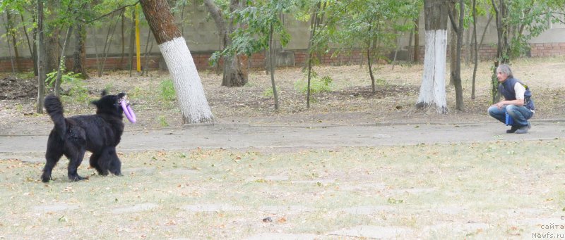 Фотография № 193649