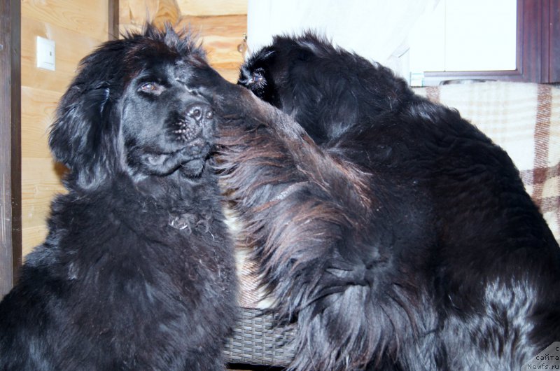 Фотография № 193653