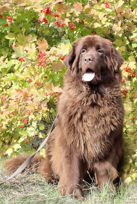 Фотография № 193689