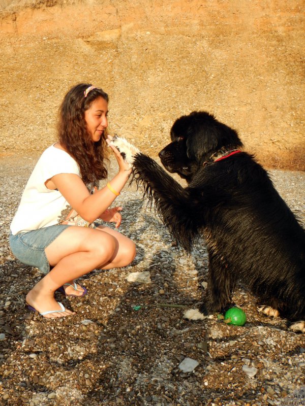 Фотография № 193696