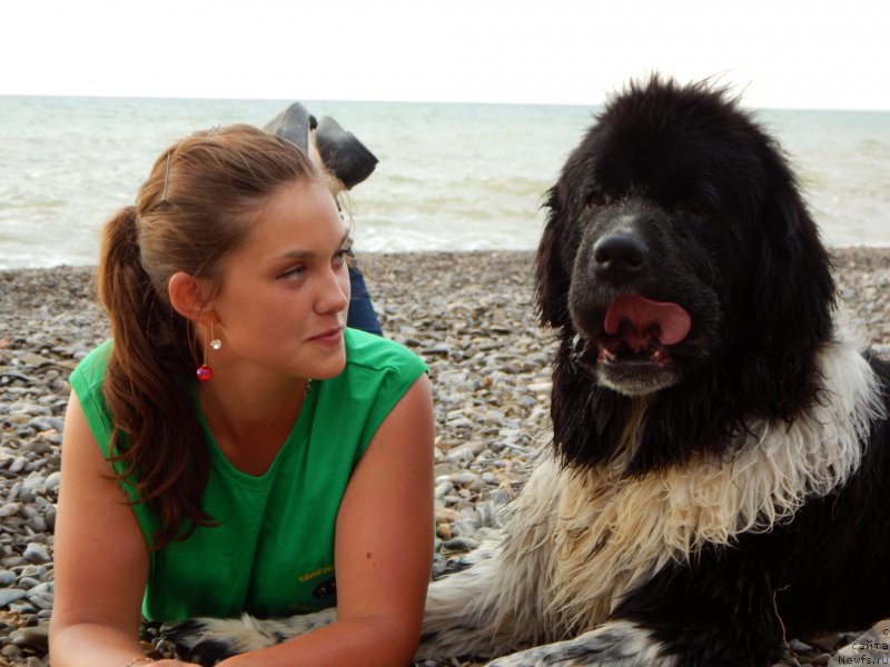 Фотография № 193697