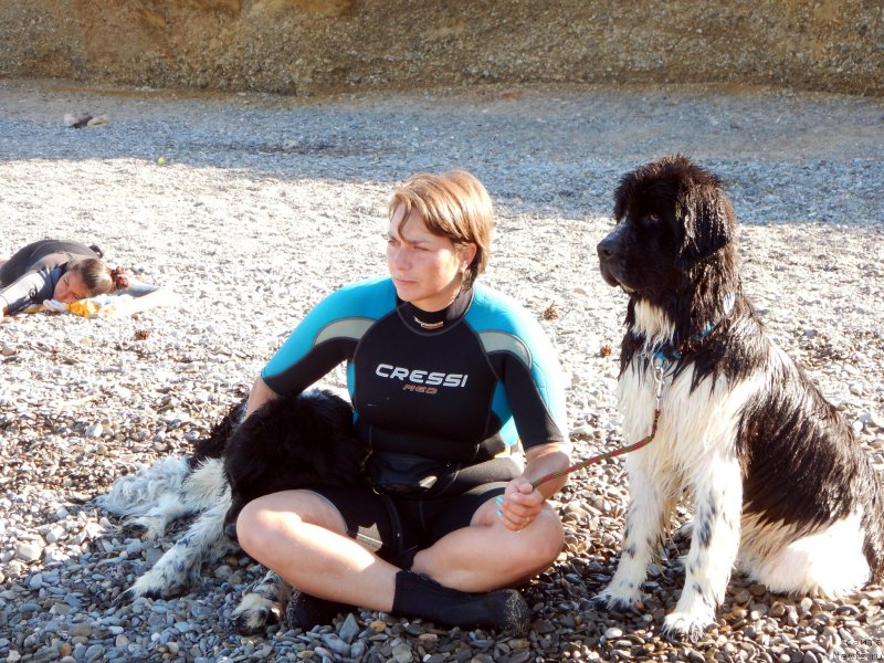 Фотография № 193699