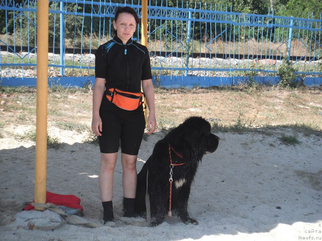 Фотография № 193772