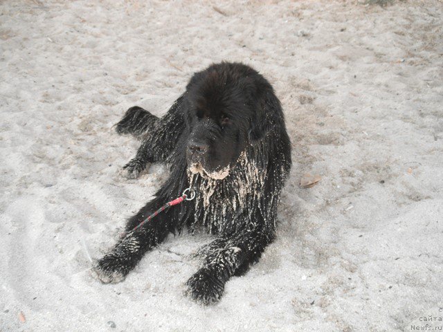 Фотография № 193775