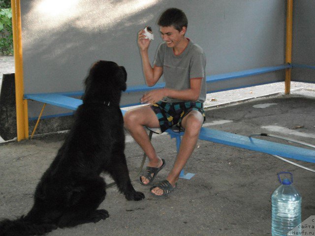 Фотография № 193781