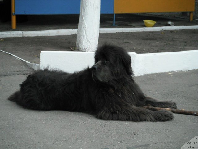 Фотография № 193785