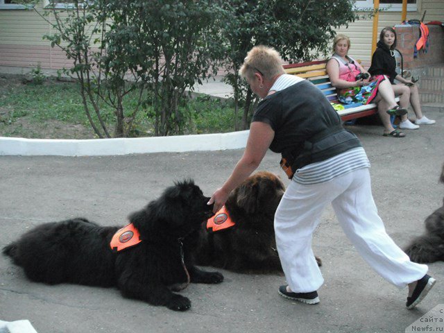 Фотография № 193788