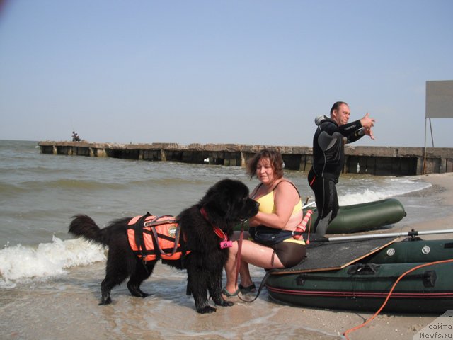 Фотография № 193796