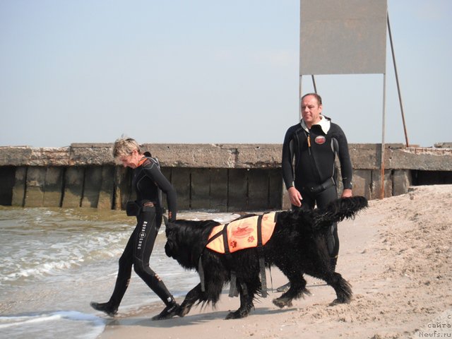 Фотография № 193798