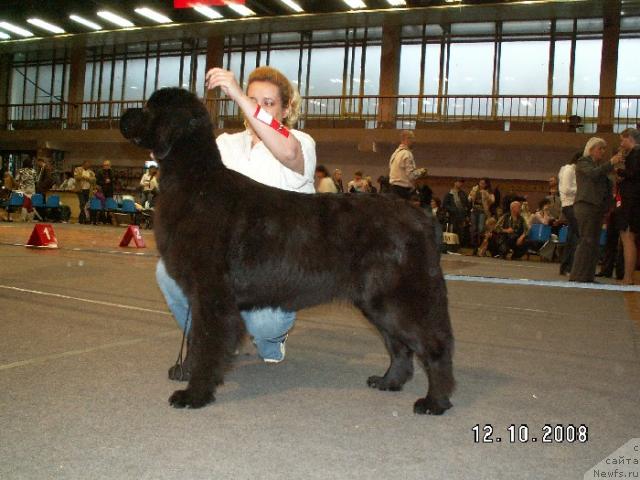 Фотография № 19380