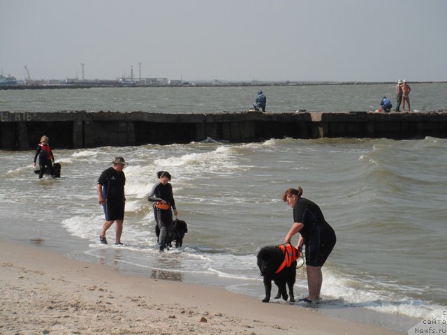 Фотография № 193800