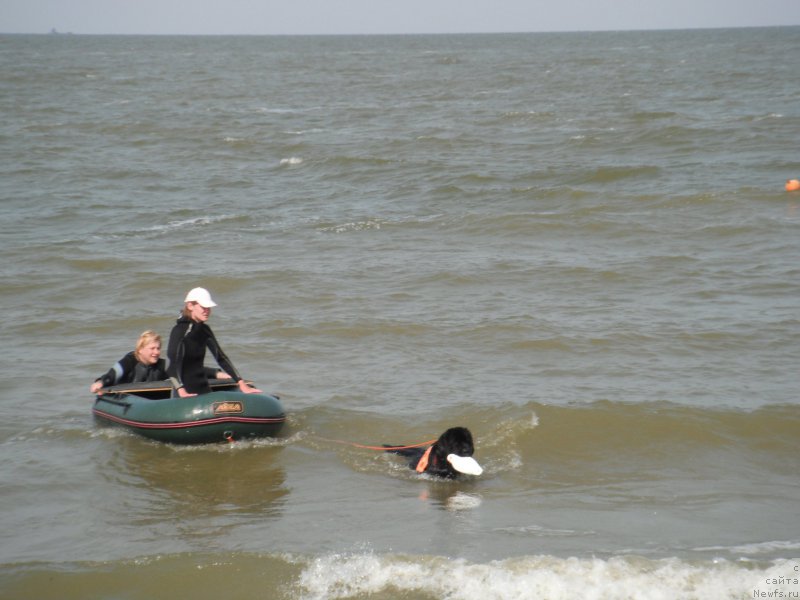 Фотография № 193801