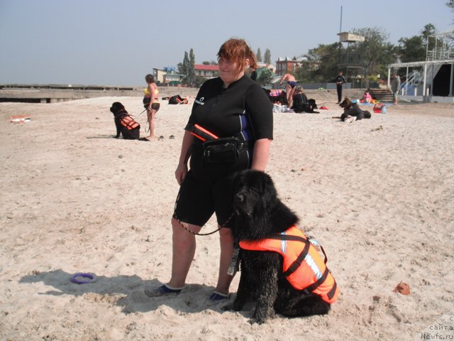 Фотография № 193810