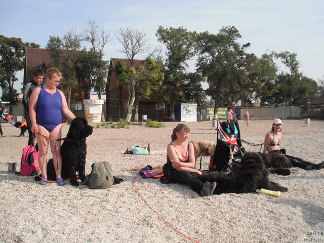 Фотография № 193811