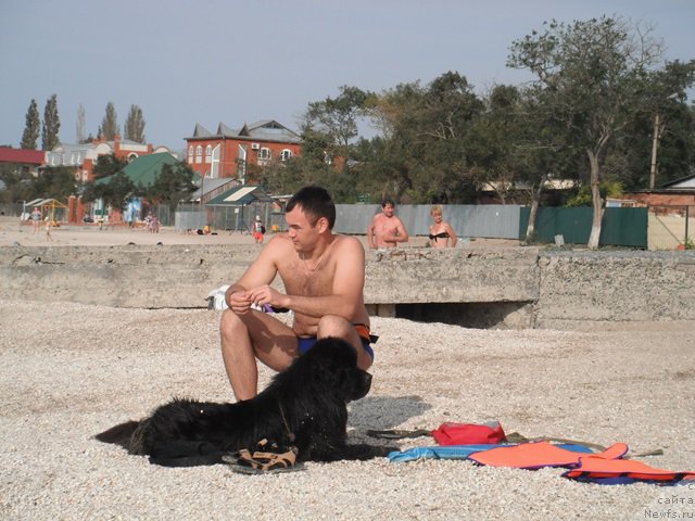 Фотография № 193812