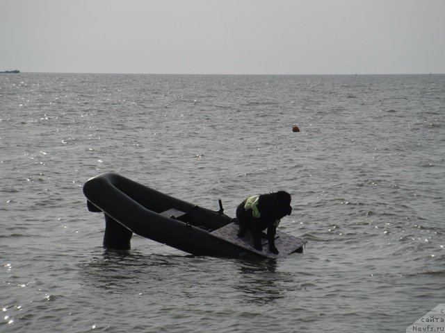 Фотография № 193814