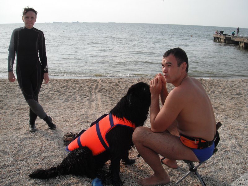 Фотография № 193817