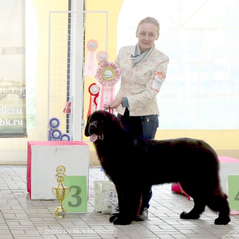 Фотография № 193822