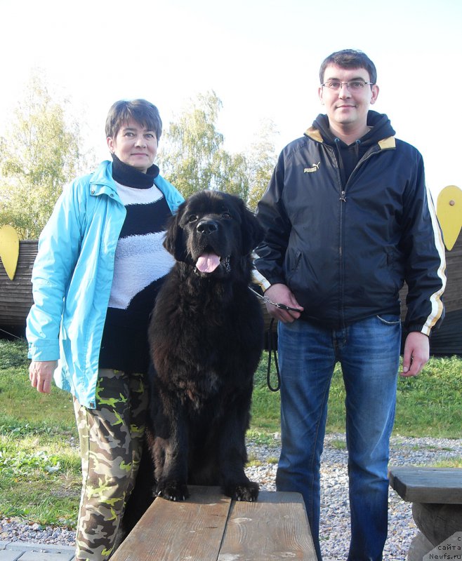 Фотография № 193826