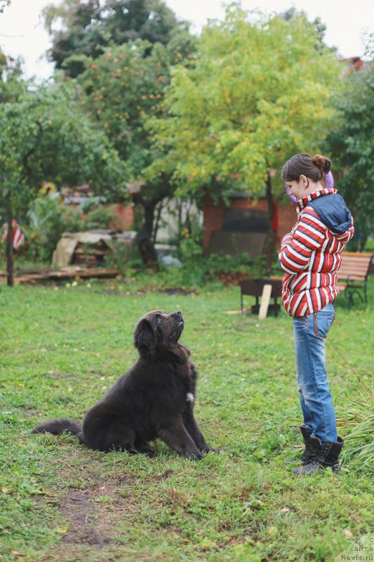 Фотография № 193832